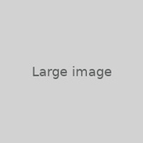 FBA33B71-547E-4387-A4113C1042DDC45E.jpg